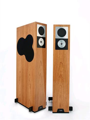 Rega RS 10 dyha čerešňa, vysoký lesk