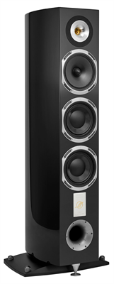 Triangle Magellan Cello 40th